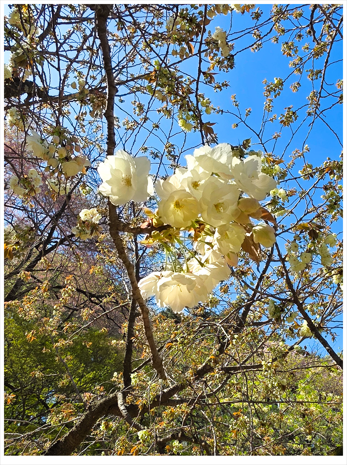 KakaoTalk_20260417_063605039_11 복사.jpg