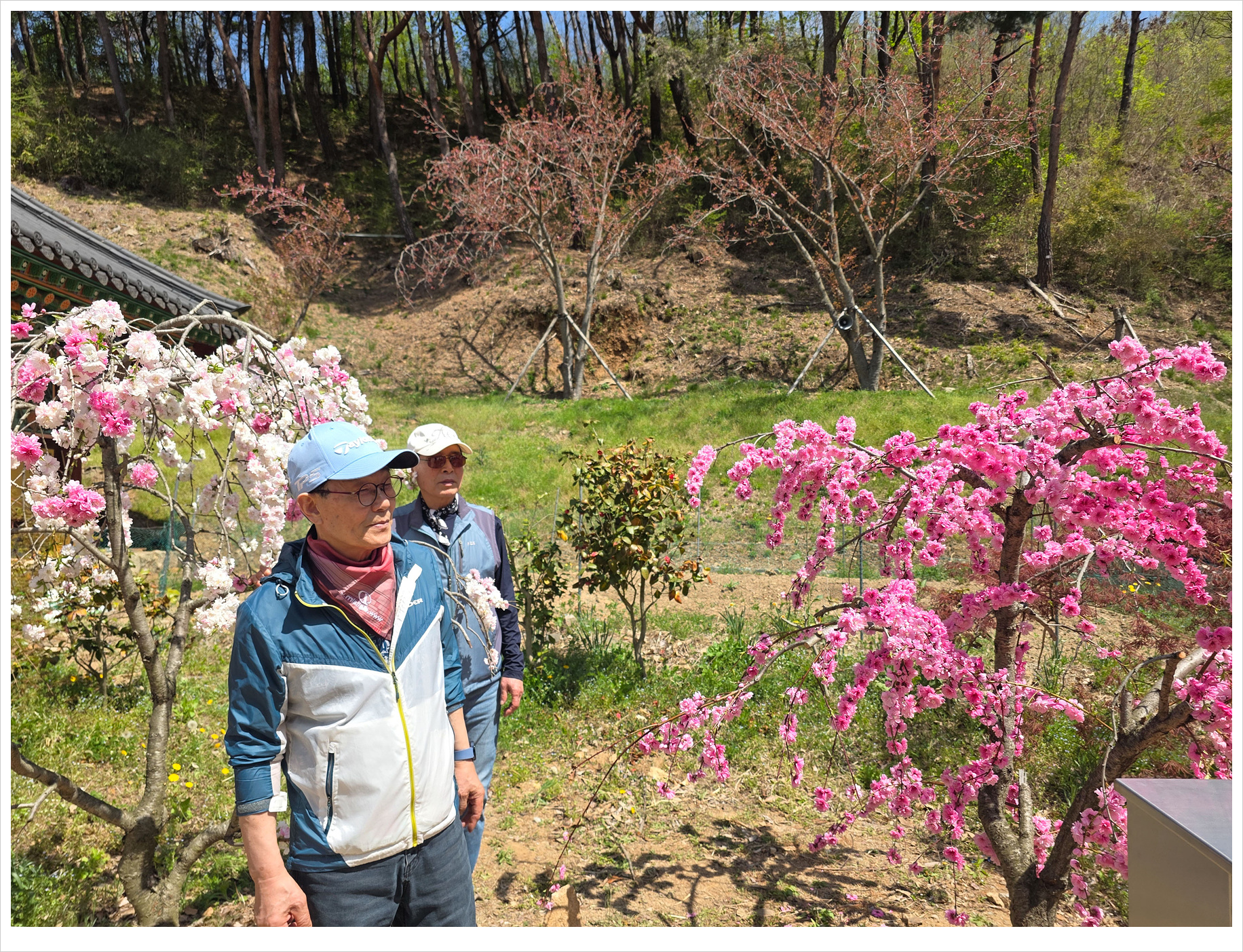 KakaoTalk_20260417_063628125_27 복사 - 복사본.jpg