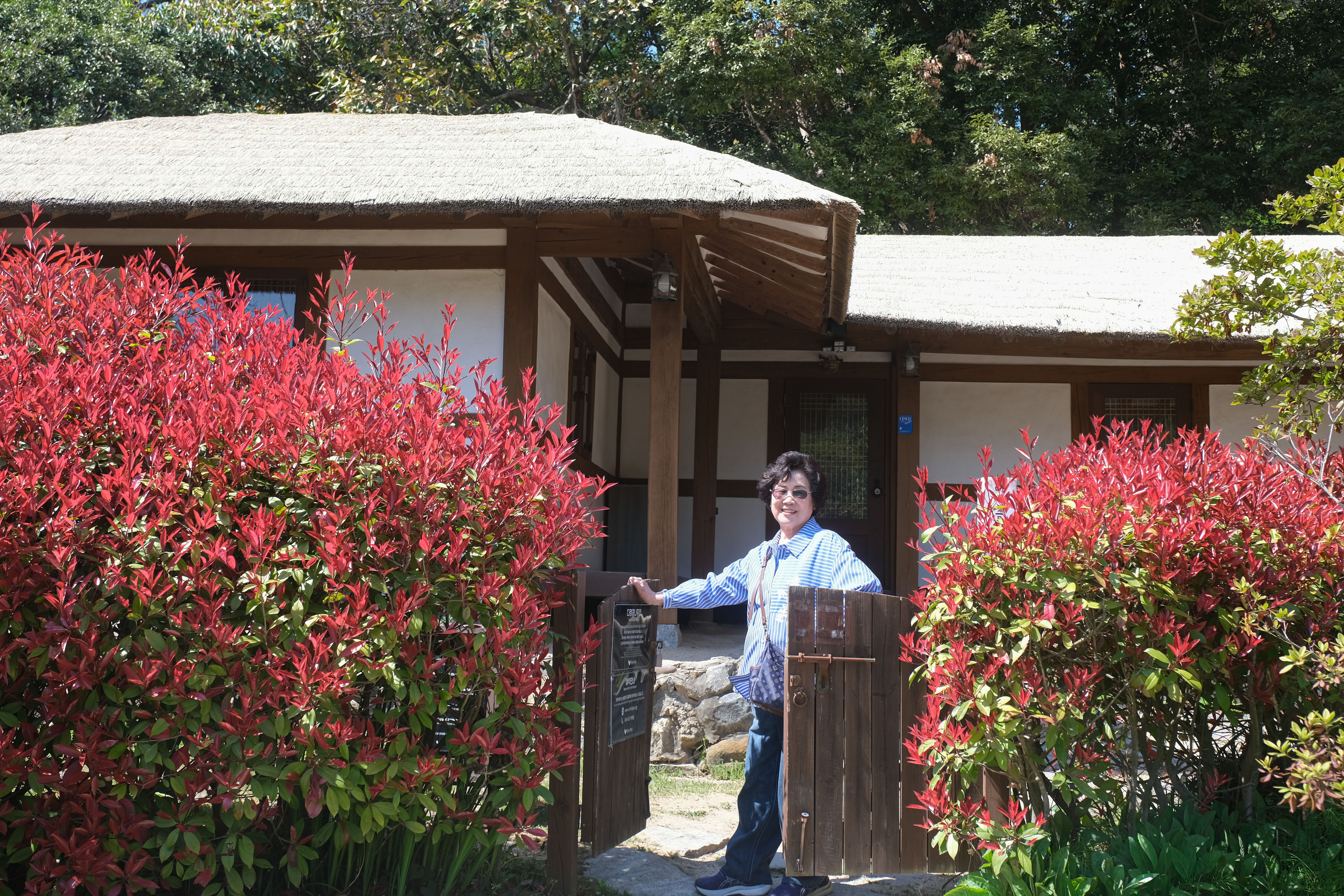 DSCF6842 복사.jpg