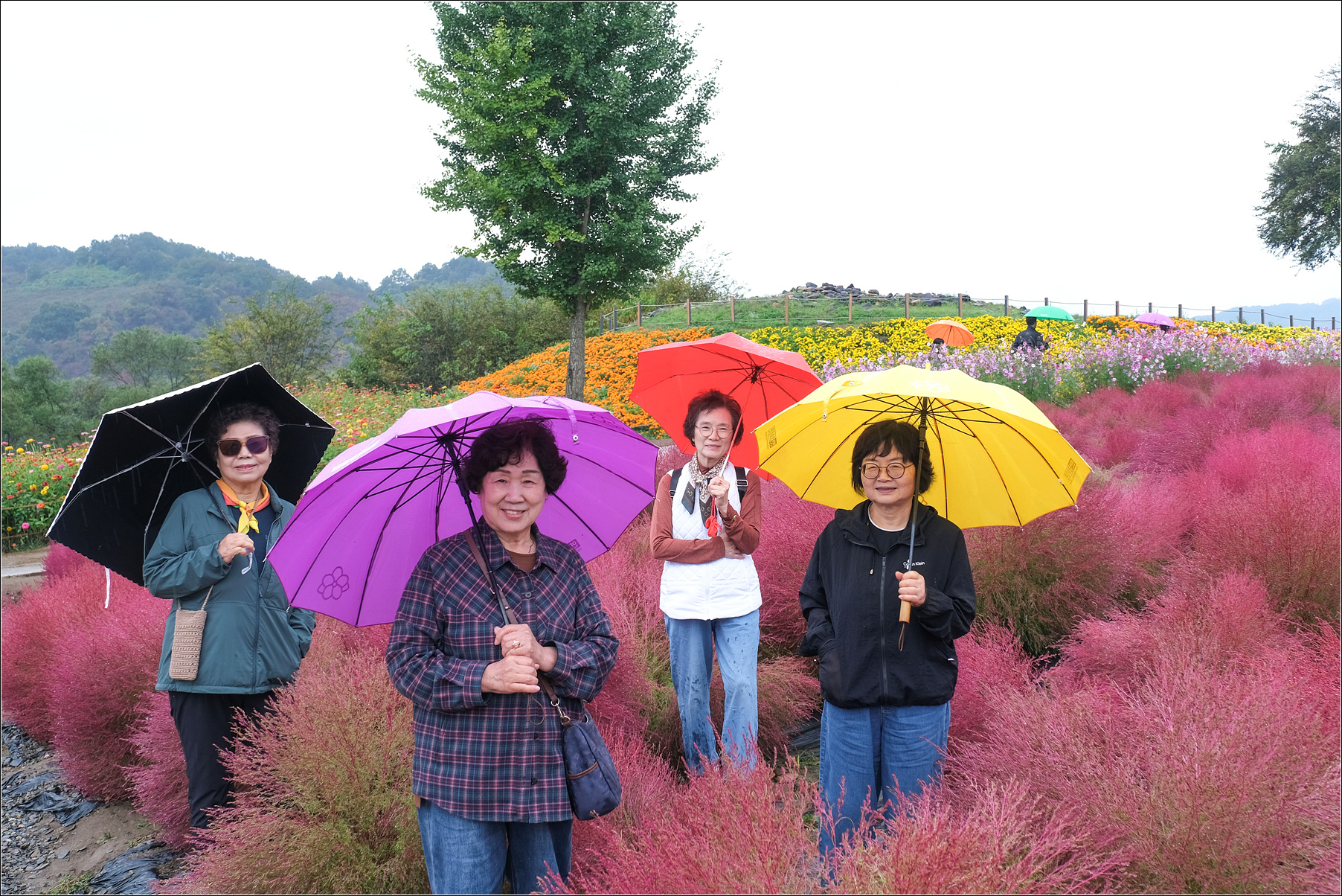 DSCF9093 복사.jpg