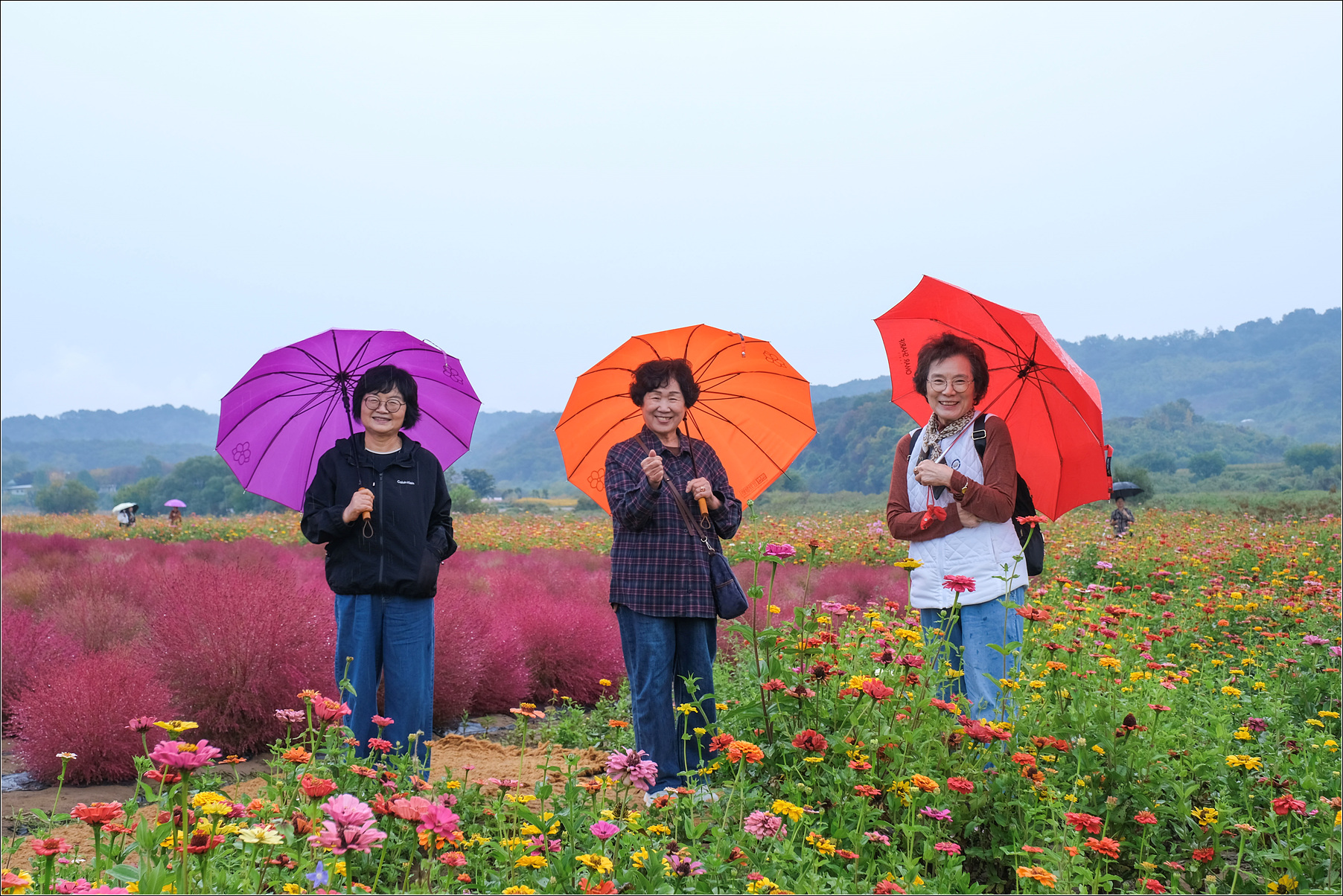 DSCF9097 복사.jpg