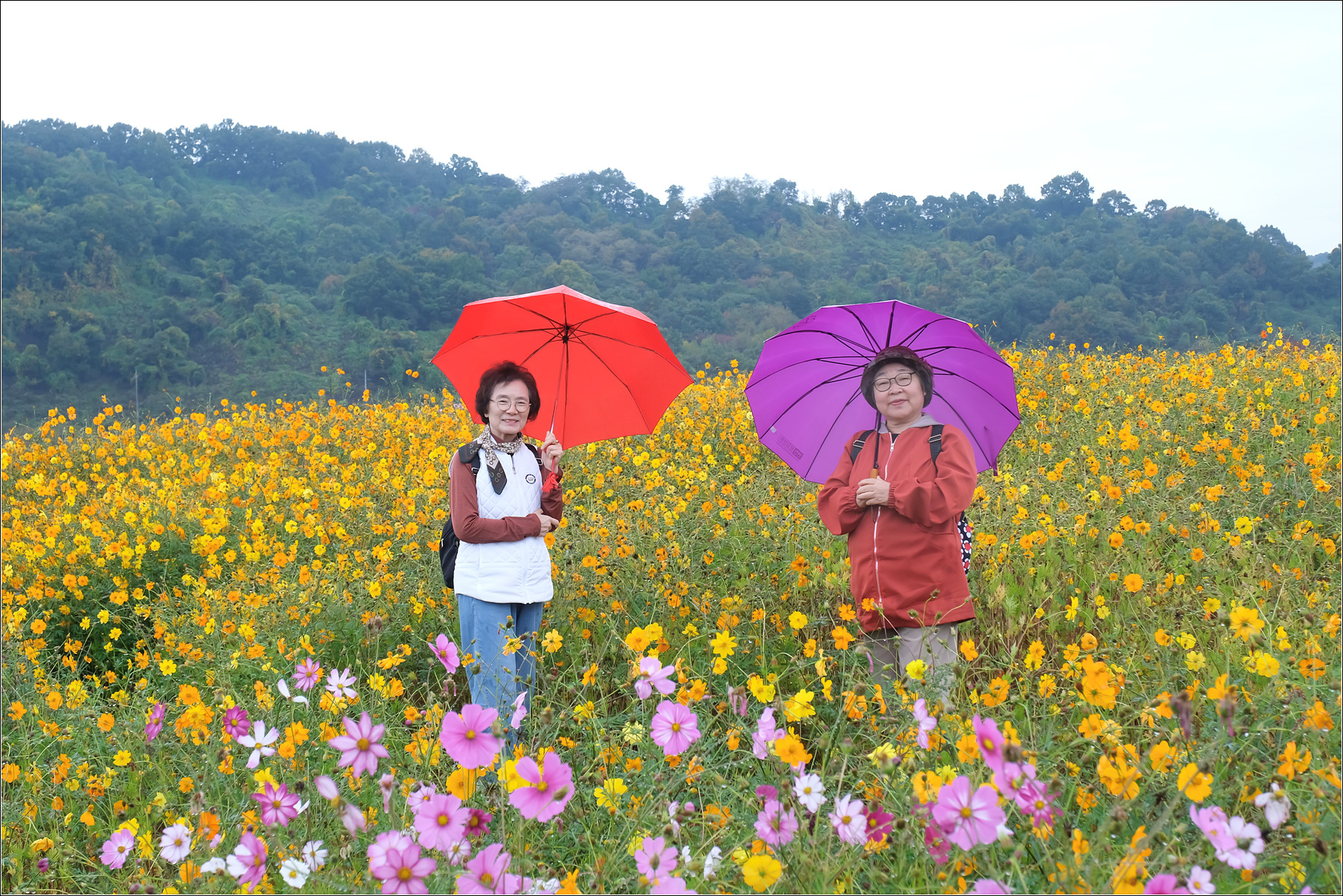 DSCF9110 복사.jpg