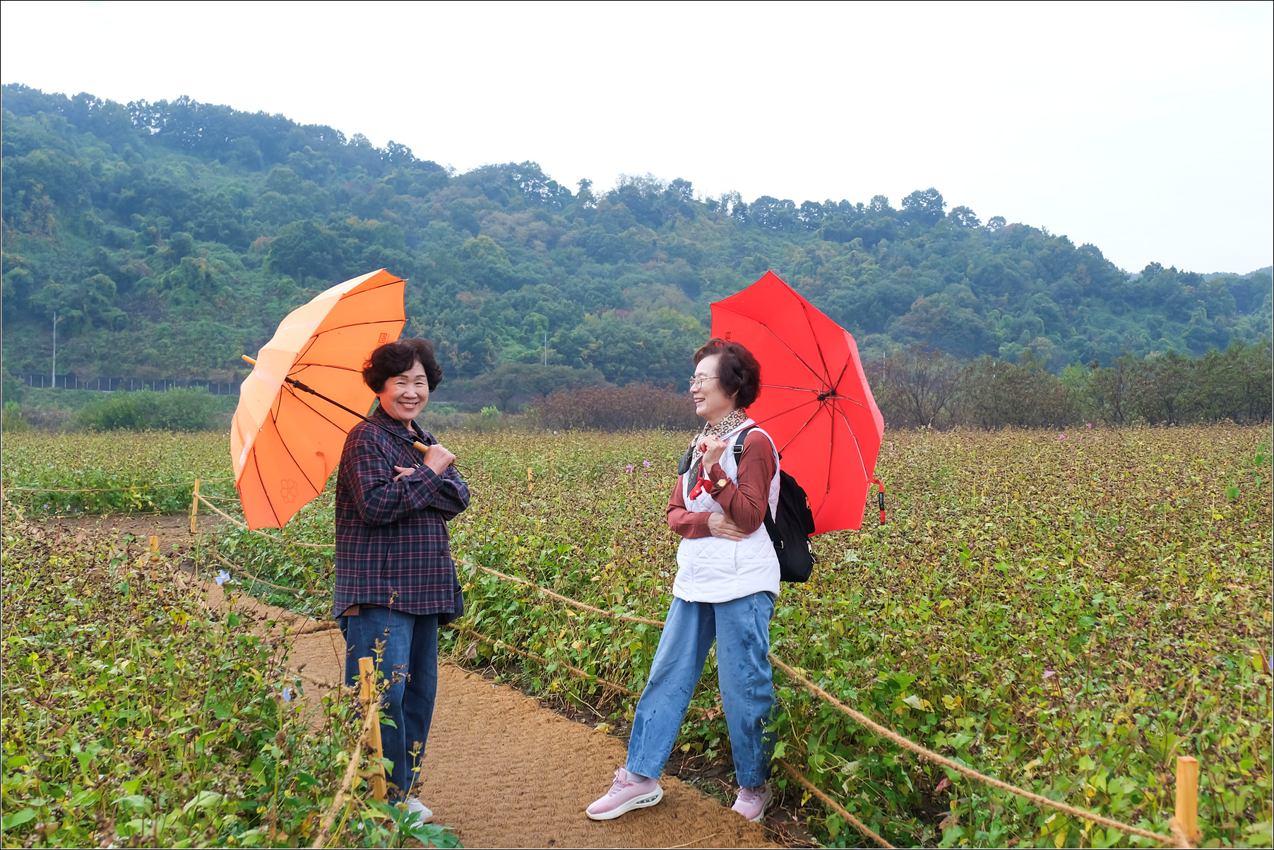 DSCF9120 복사.jpg