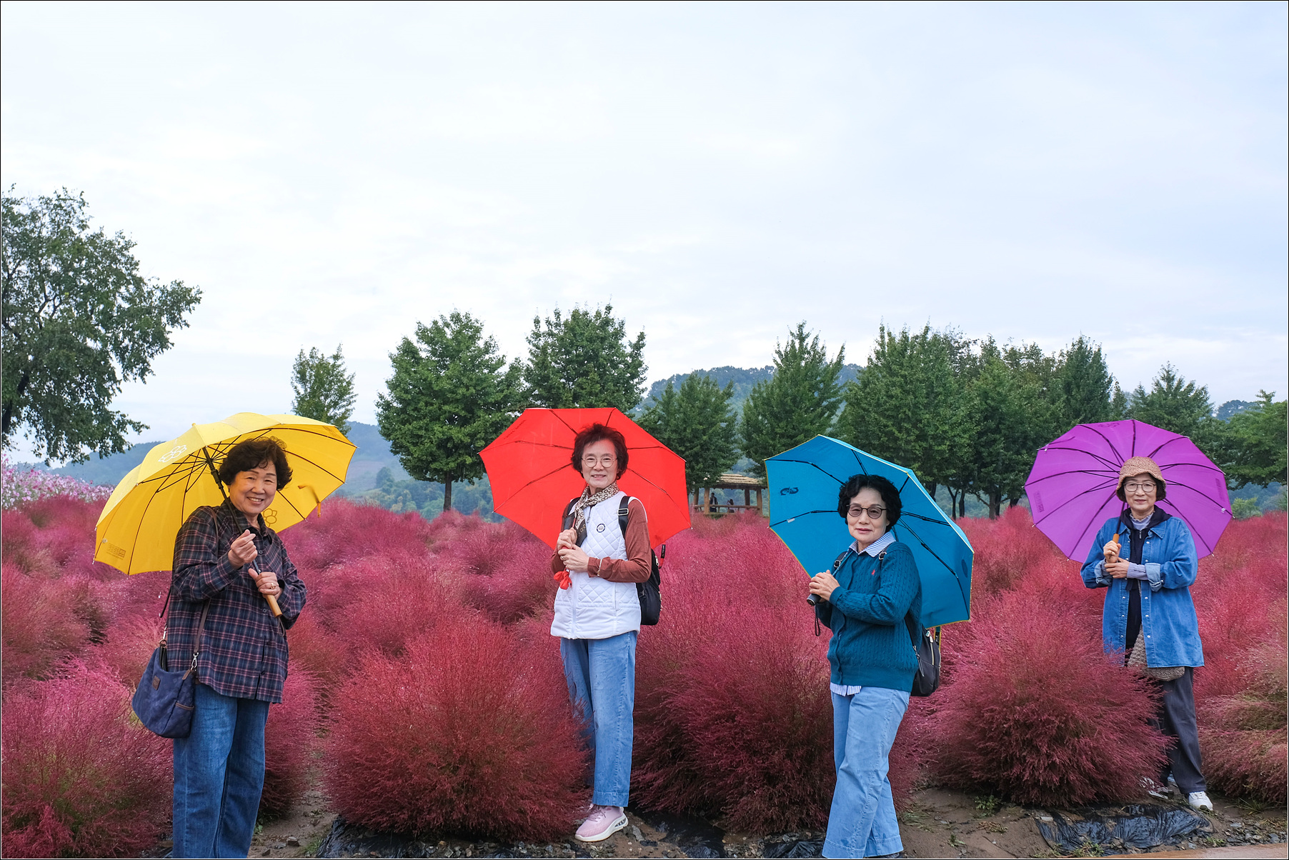 DSCF9091 복사.jpg