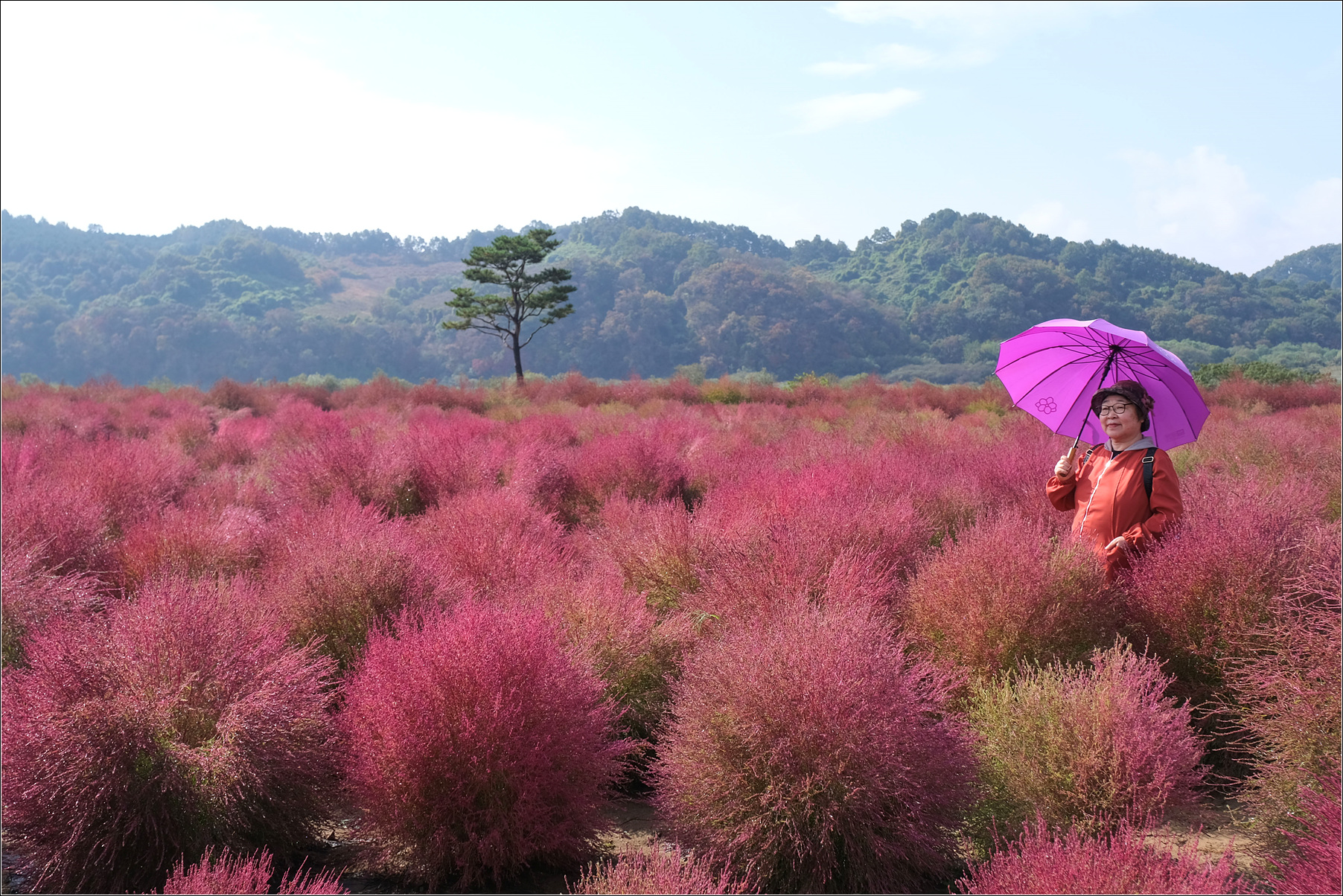 DSCF9218 복사.jpg