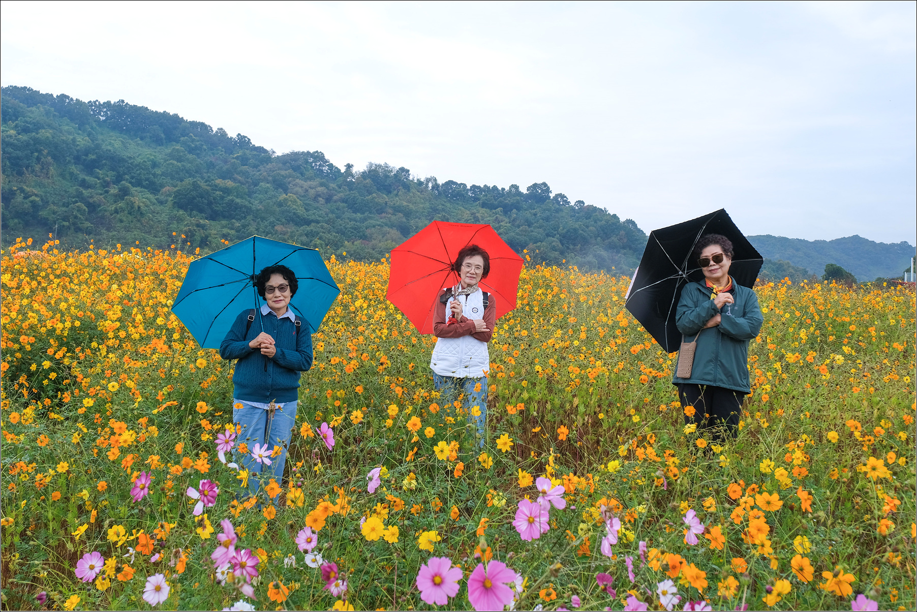 DSCF9117 복사.jpg
