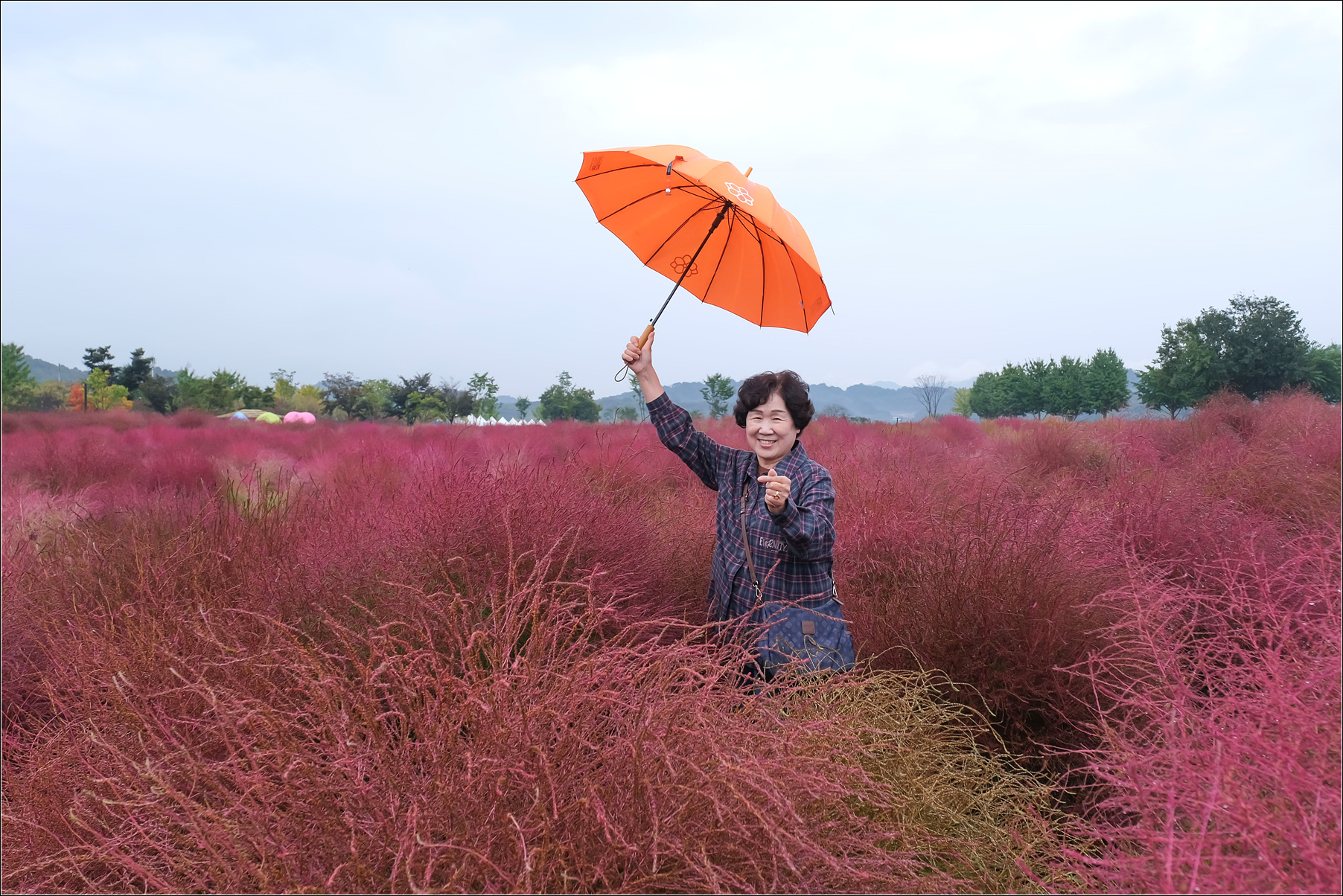 DSCF9127 복사.jpg