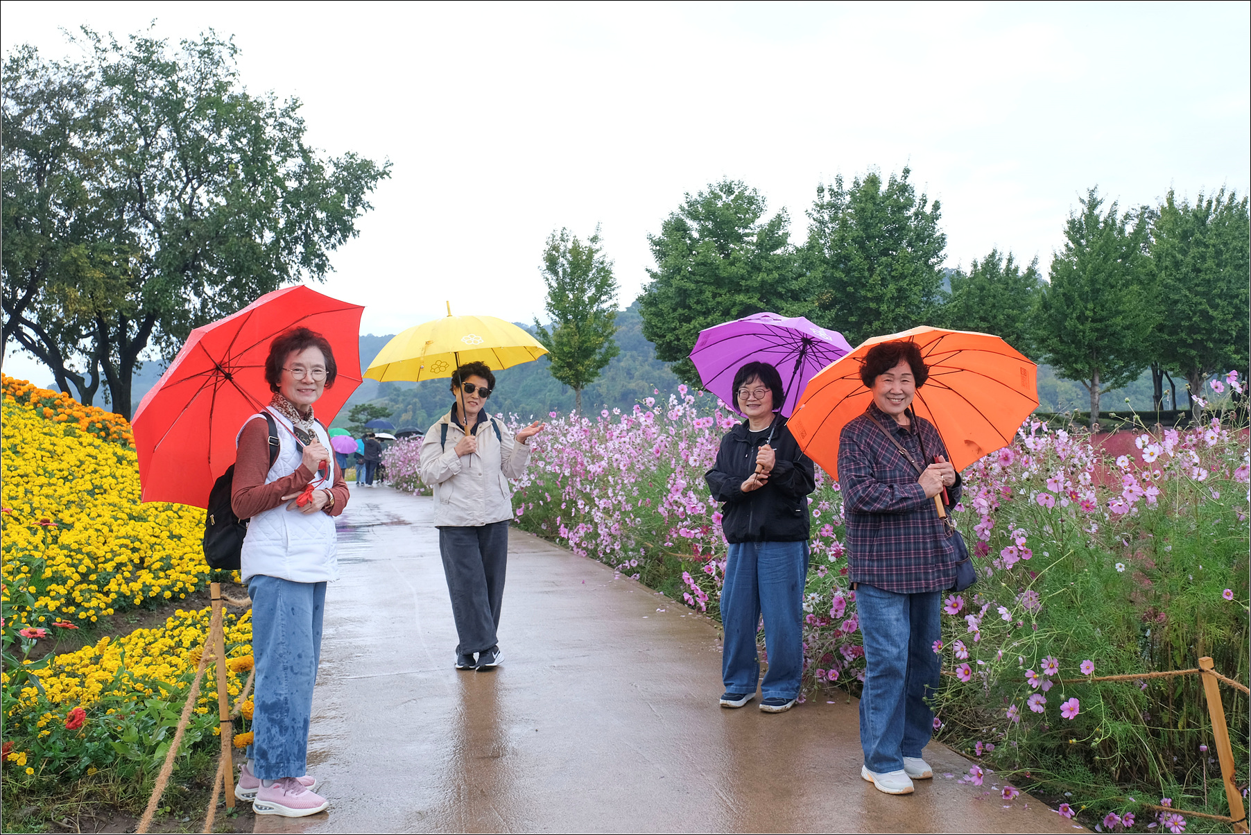 DSCF9102 복사.jpg