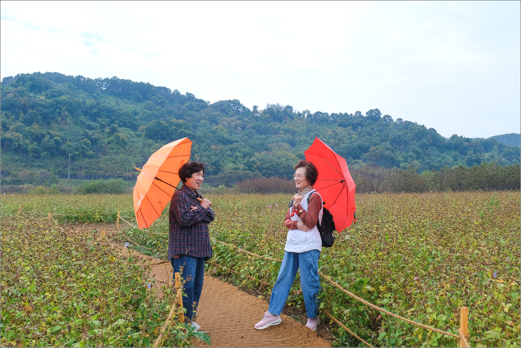 DSCF9122 복사.jpg