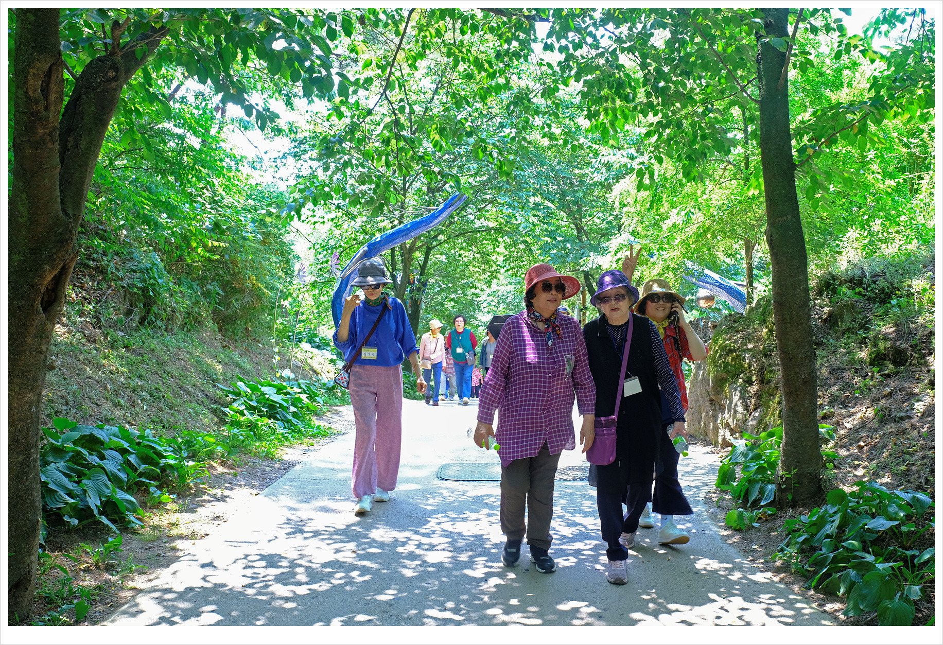 DSCF2045 복사.jpg